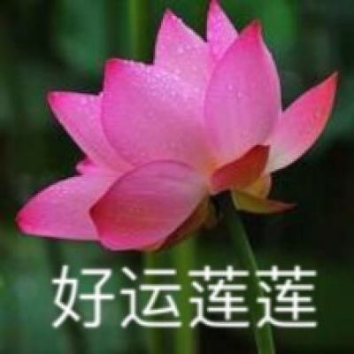 大航海之路oppo账号登录版下载
